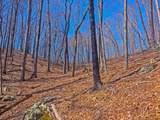 1 Rattlesnake Rd - Photo 17