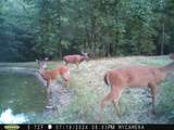 1984 Taylor Ln - Photo 43