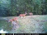 1984 Taylor Ln - Photo 44