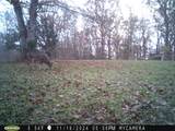 1984 Taylor Ln - Photo 46