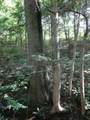 0 Smith Rd - Photo 39