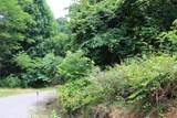 83 Dancing Fern Rd - Photo 11