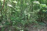 83 Dancing Fern Rd - Photo 15