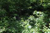 83 Dancing Fern Rd - Photo 17