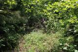 83 Dancing Fern Rd - Photo 18