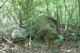 83 Dancing Fern Rd - Photo 19