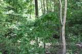 83 Dancing Fern Rd - Photo 21
