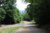 83 Dancing Fern Rd - Photo 10