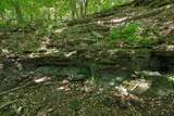 1650 Tarpley Shop Rd - Photo 40