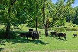 1650 Tarpley Shop Rd - Photo 47