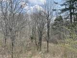 1 Livesay Street - Photo 2
