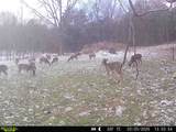 1790 Tolbert Hollow Rd - Photo 5