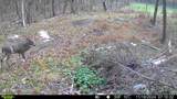 1790 Tolbert Hollow Rd - Photo 6