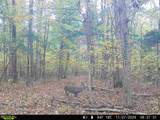 1790 Tolbert Hollow Rd - Photo 7