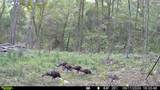 1790 Tolbert Hollow Rd - Photo 8