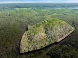 0 Hwy 49 W - Photo 1