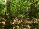722 Ac Livingston Hwy - Photo 1