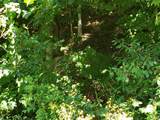 722 Ac Livingston Hwy - Photo 12