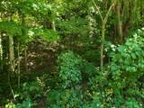 722 Ac Livingston Hwy - Photo 13