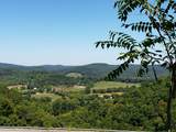 722 Ac Livingston Hwy - Photo 14