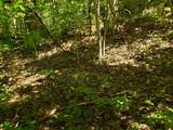 722 Ac Livingston Hwy - Photo 4