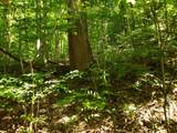 722 Ac Livingston Hwy - Photo 6