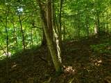 722 Ac Livingston Hwy - Photo 8