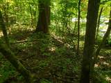 722 Ac Livingston Hwy - Photo 10