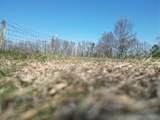 7A Mims Street - Photo 12