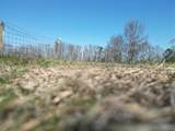 7A Mims Street - Photo 13