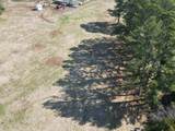 7A Mims Street - Photo 23