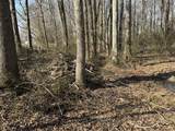 7A Mims Street - Photo 10