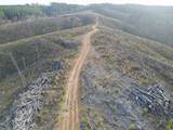 0 Waynesboro Hwy - Photo 4
