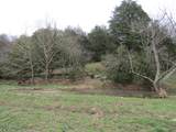 3517 Coffey Branch Rd - Photo 2