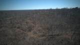 0 Mousetail Rd - Photo 12