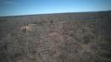 0 Mousetail Rd - Photo 24