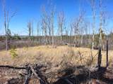 0 Mousetail Rd - Photo 34