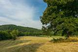 1128 Pennington Pvt Way Lot 5 - Photo 6