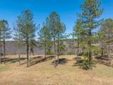 480 Pappy Road - Photo 11