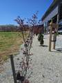 1803 Hardin Bottom River Rd - Photo 6