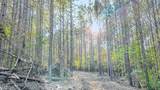 0 Hurricane Creek Road - Photo 18