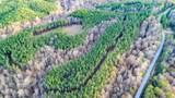 0 Hurricane Creek Road - Photo 26