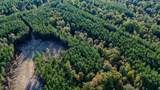 0 Hurricane Creek Road - Photo 4