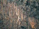 73 Twilight Pt - Photo 10