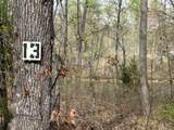 203 Blue Heron Dr - Photo 13
