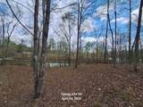 203 Blue Heron Dr - Photo 4