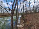 203 Blue Heron Dr - Photo 6
