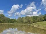 137 Shelton Cemetery Rd - Photo 12