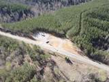6004 Old Hohenwald Rd - Photo 2