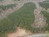 6004 Old Hohenwald Rd - Photo 12